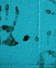 Detektivbüro Nume Entescht Bild 2