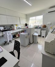 Laboratório Veterinário Gold Lab Vet - Unidade Jabaquara imagen 15