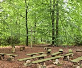 FriedWald Bremer Schweiz Bild 7