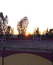 Picadero Escuela Las Cruces imagen 1