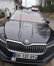 TSO Taxi image 2