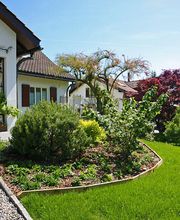 Burri & Achermann Gartenbau AG Bild 5