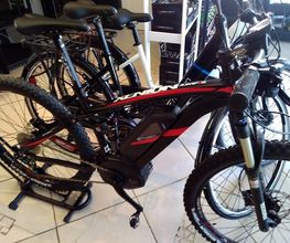 BV Cycles image 14