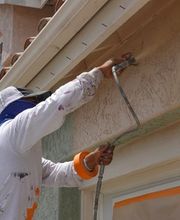 Litschi Maler Bild 5