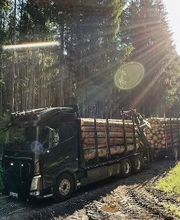 Reindl Anton Holztransporte Bild 5