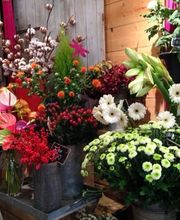 Mireille Fleurs image 9