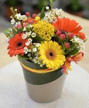 Donzier Fleurs image 6