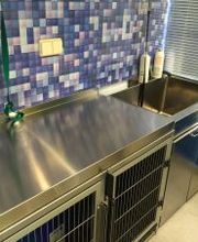 clinica veterinaria4.jpg