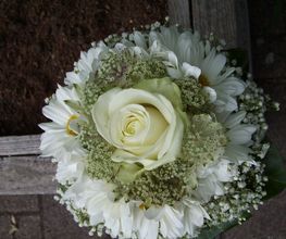 Rüegg Blumen Bild 8