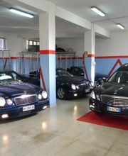 Gallery Cliente