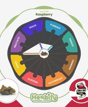 Herbify Cannabis Lovers Delivery immagine 3