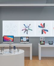 Gallery Cliente