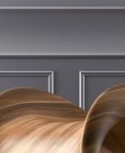 Etude CHIOCCHETTI & SIEVI : Agent d'Affaires Bild 13