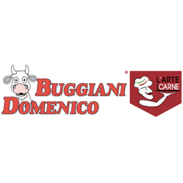Buggiani Domenico Srl logo