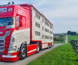 Transport Loret image 1