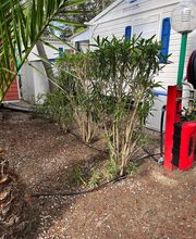 Elag'Frontignan image 4