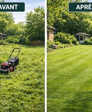 BC Service Élagage image 3