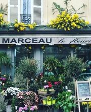 Marceau le fleuriste image 7