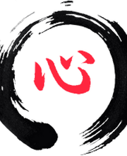 Physiotherapie Martin Schlozer Bild 11