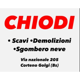Chiodi Scavi Demolizioni e Movimento Terra logo