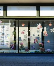 Meister Immobilien-Treuhand Bild 10