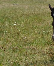 Régénere'Essence image 2