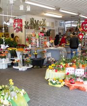 Blumen Barrey Bild 2