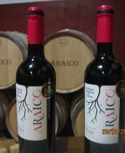 Bodegas araico imagen 2