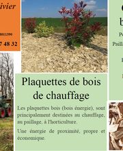 Dubois Olivier image 3