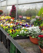 LE JARDIN DES SENS image 1