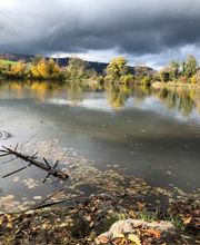 Gemeindeverwaltung Horgen Bild 5