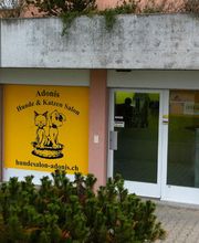 Hundesalon Adonis GmbH Bild 5