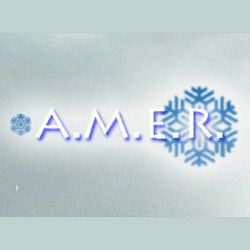 A.M.E.R. logo