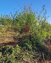 MONSIEUR DELOUIS CHRISTOPHE image 5