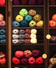 Hirsch & Hase Bild 2