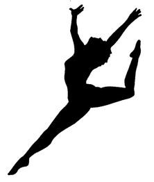 Dr. Heinz-Georg Schneider Privatpraxis für ganzheitliche Orthopädie