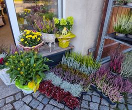 Blumenscheune Bild 4