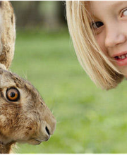 Tierarztpraxis Klaus Windsheimer Bild 1