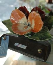 Pompes Funèbres Cassio image 6