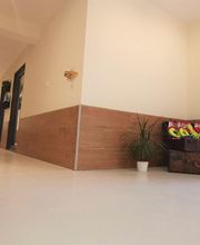 Felidog Sarl image 10