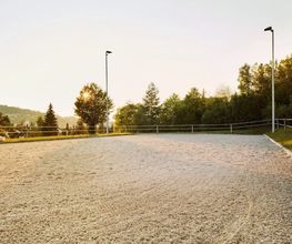 Pferdeklinik Thurland Bild 8