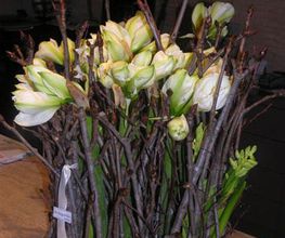 la-magnolia-floristes-flores-blancas-02.jpg