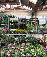 LANDI Küssnacht Bild 6