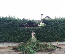 Les 4 Saisons image 5