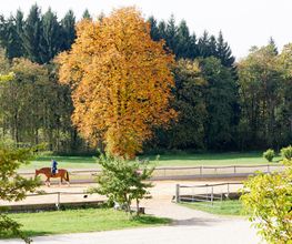 Wanderreitstation Gut Mischenried GmbH Bild 1