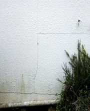 Thierry Leccia Expertise plus image 1