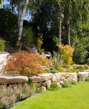 Ameline Arbora image 9