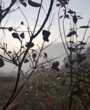 Espace Vert en Cévenne SARL image 8