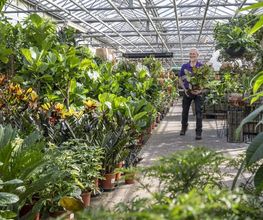 Plantencentrum Velden afbeelding 1