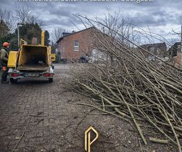 Grünpflege